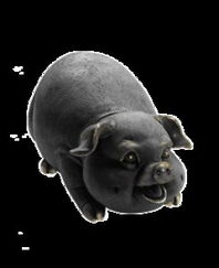 發(fā)財(cái)豬 聯(lián)漢國際資訊股份旗下bysources豬產(chǎn)品的全面解析