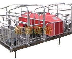 安平縣紅旗養(yǎng)豬設(shè)備廠 專注于養(yǎng)殖設(shè)備供應(yīng)的可靠合作伙伴